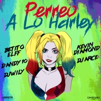 Perreo a Lo Harley (feat. Kevin Diamond, Dandy 10, Dj Arce & Dj Wily) - Single - Betito El FF