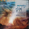 שירת הים 2013 - Ishay Saydof