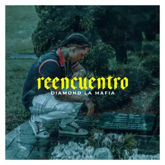 Reencuentro - Single by Diamond la Mafia album reviews, ratings, credits