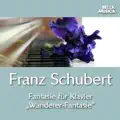 Der Wanderer
