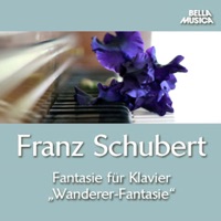 Daniel Blumenthal - 12 Lieder von Franz Schubert für Klavier (nach Franz Liszt, S. 558/1), D. 483: No. 1, Der Wanderer