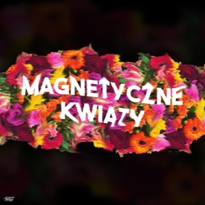 Kwiaty Magnetyczne - Single