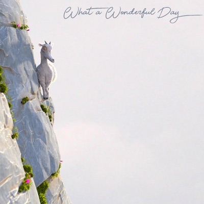 What a Wonderful Day - Single