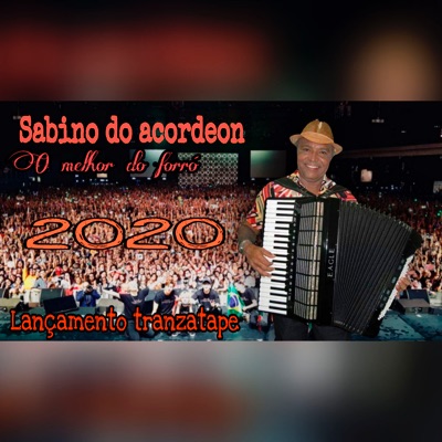 O Melhor do Forró 2020 - Lançamento Tranzatape