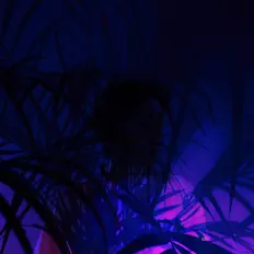 Listen to FULUM, watch music videos, read bio, see tour dates & more!