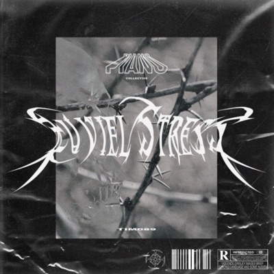 Zu viel Stress - Single