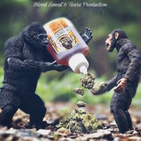 Gorilla Glue - Single - OG RiLOW