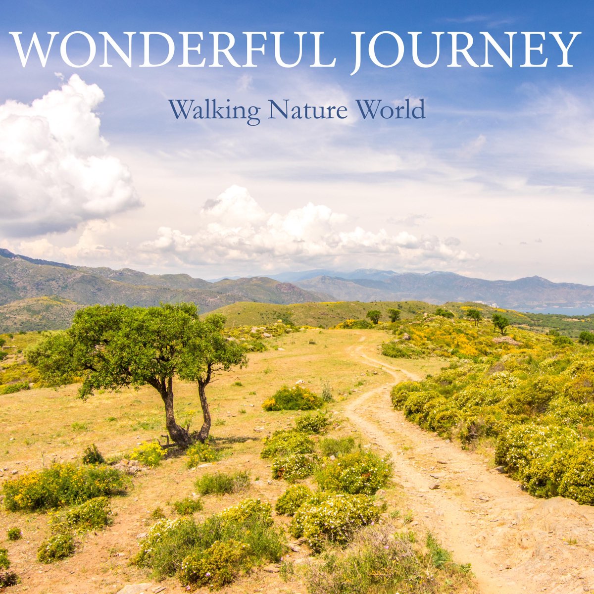 Wonderful journey. Natural World. Song about the natural World. Wonderful Miracles. World natural Life.