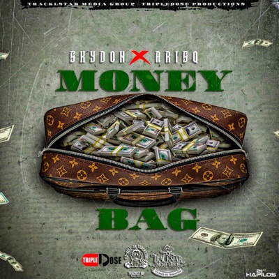 Money Bag - Single