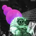Terrestrial