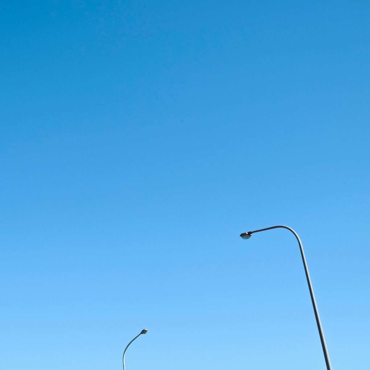 ‎Standard Requirements Single Album by CFB Ice Cream Apple Music