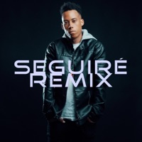 Seguiré - Single - Revolucionario