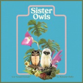 Sister Owls artwork
