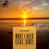 What I Need (feat. Sire) - Single