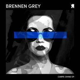 Voice of the Void Brennen Grey