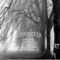 Next Life (feat. Boy Lucca) - Alexander Da Grate lyrics