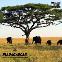 Madagascar - Single - LiMM