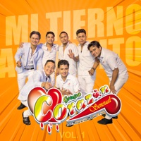 El Amor No Mata de Amor No Se Muere