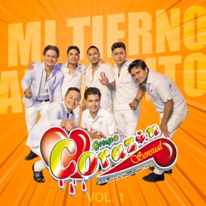 Mi Tierno Amorcito, Vol. 1