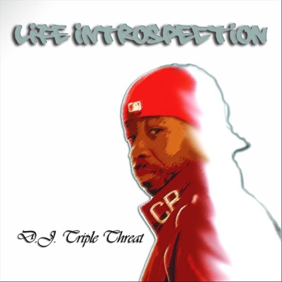 Life Introspection