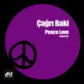 Peace Love