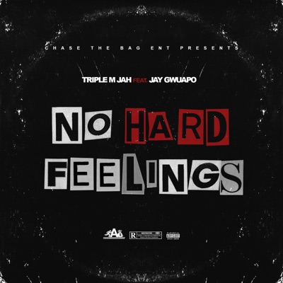 No Hard Feelings (feat. Jay Gwuapo) - Single