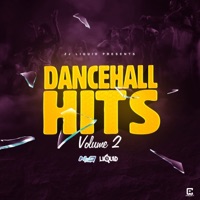 Dancehall Hits, Vol. 2 (feat. Masicka, Tifa, Zagga, Delly Ranx, Bugle, Wasp, Spice & Vybz Kartel) - EP - ZJ Liquid