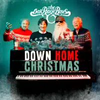 Don't Go Pullin' on Santa Claus' Beard — The Oak Ridge Boys