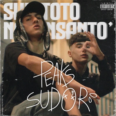 Peaks // Sudor - Single
