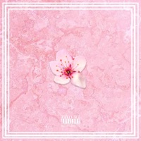 Cherry Blossoms (feat. Prie) - Single - CiscoUaTrip