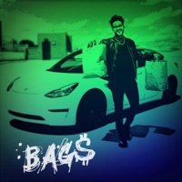 Bags - Single - PFV