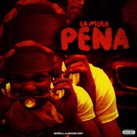 Pena La Mula
