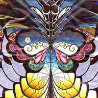 The Butterfly Effects (feat. Ignis, Contra$t & Disparity) - Single - Listen2thekids