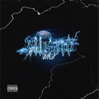Wizard - Single - Tootse