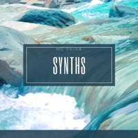Synths (Instrumental) - Single - Mc Shiva