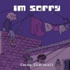 I'm Sorry - Single