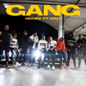 Gang (feat. Day1) artwork