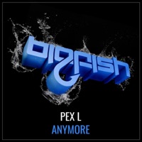 Anymore - Single - Pex L