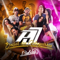 Social das Coleguinhas - Single - Mc Pelé Da V.A OFICIAL, Mc Luh Da V.A & Mc Joan Jf