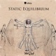 Static Equilibrium Single