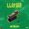 Llamar - Joss_mgmf lyrics