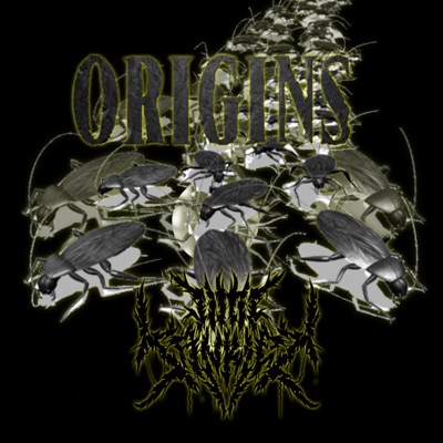 Origins