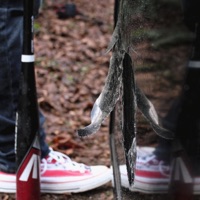 Centerfold - Single - Jay Fiddy