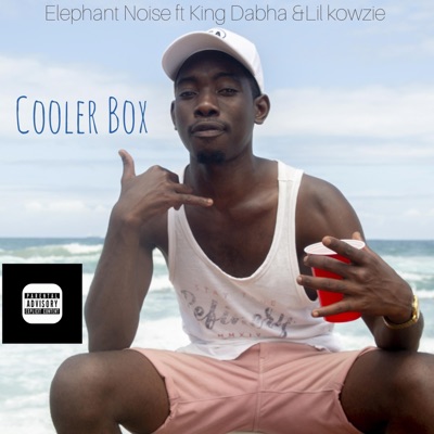 Cooler Box - Single