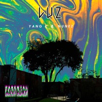 Luz - Single - NUNEZ & YANG K