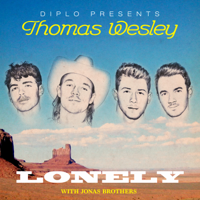 Lonely-Diplo & Jonas Brothers