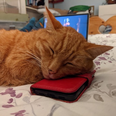 Pitter Patter - Single