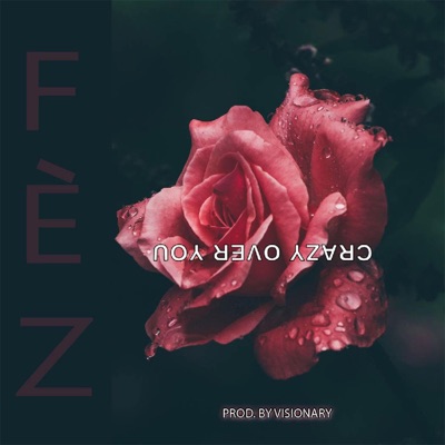 Crazy Over You - Single