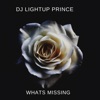 DjLightup Prince