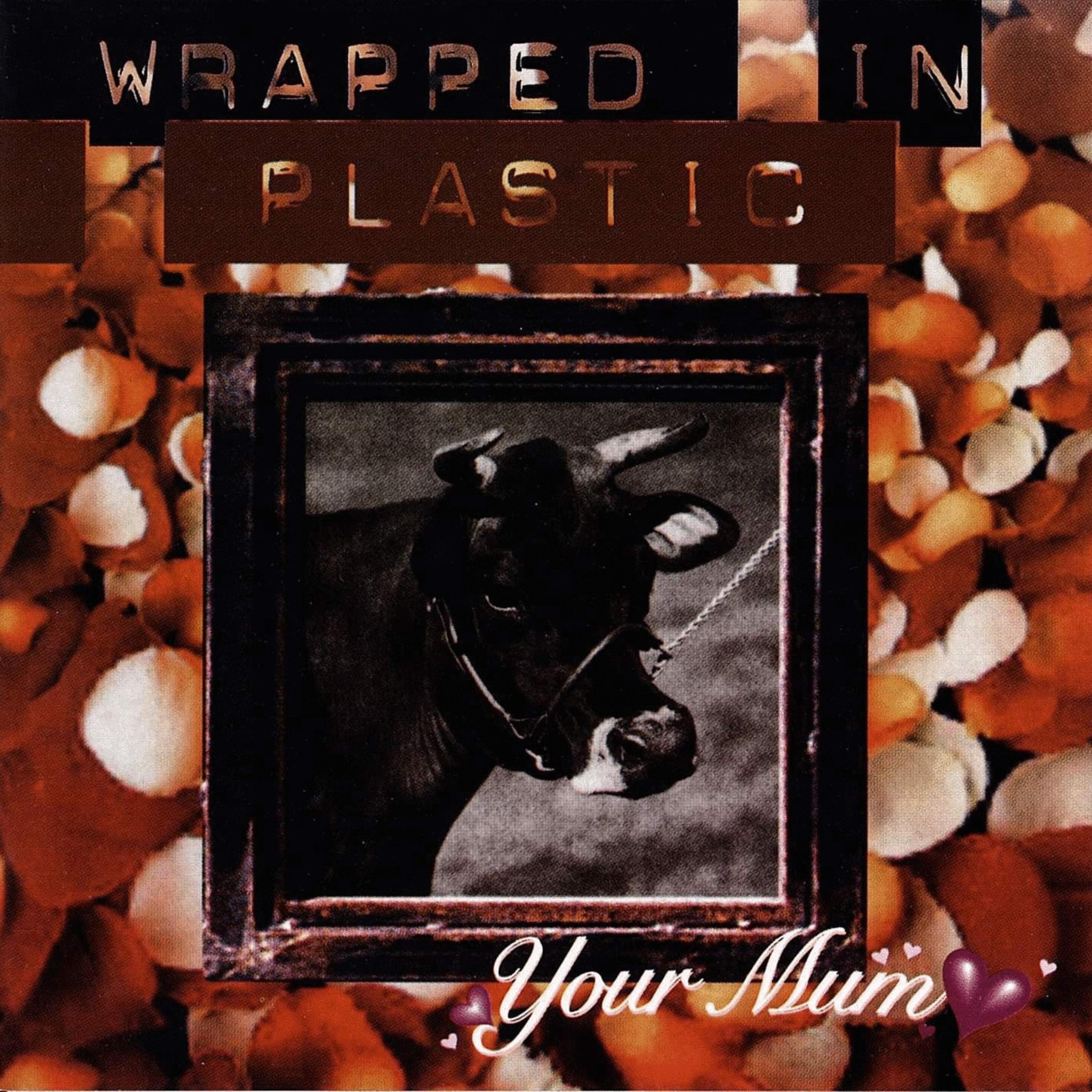 Your Mum (22 & 1/3 Year Anniversary Version)